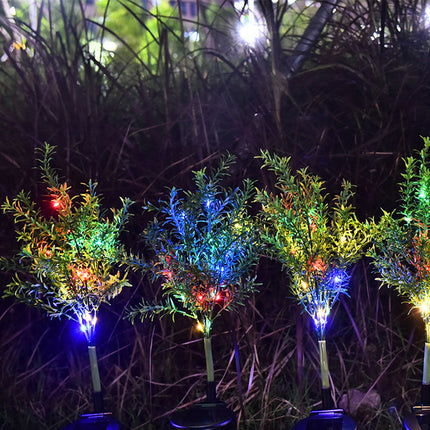 Garden landscape with lawn light