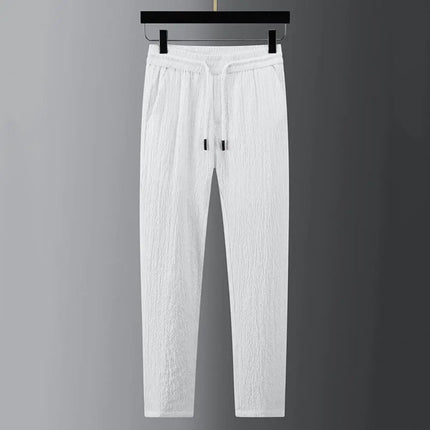 Men Two piece Suit Striped Pleated Men Pants Set Pleated Drawstring Loose Lapel Pockets Thin Formal Business Men Set