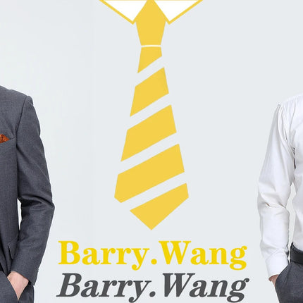 Barry.Wang Solid Silk Mens Tie Hankerchief Cufflinks Brooch Set Jacquard Plain Necktie Corsage For Male Wedding Party Events